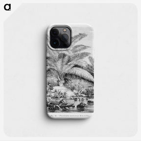 1-99_Les-Palmiers-Histoire-Iconographique_phone