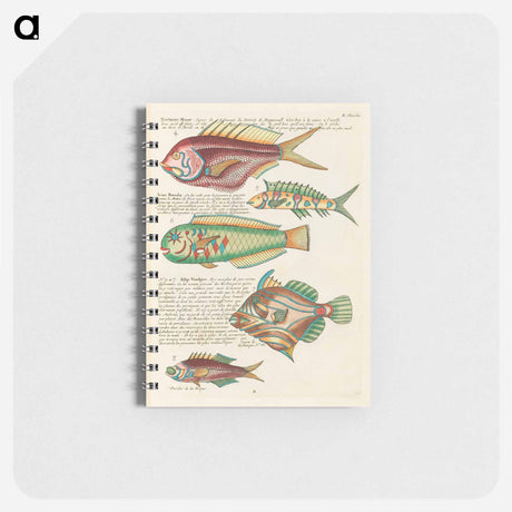 アートメモ帳-Moluccan Fishes
 - ルイ ルナール Memo.