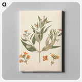 アートパネル-Avicennia Marina: White Mangrove
 - ルイージ バルガーニ Canvas.