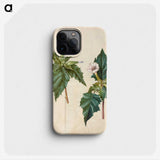 1-99_Maria-Sibylla-Merian_phone