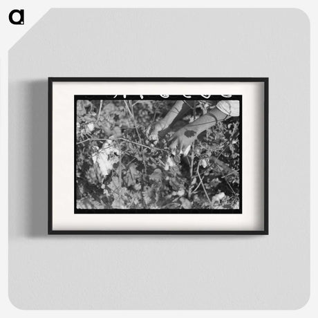 1-99_Marion-Post-Wolcott_blk