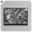1-99_Marion-Post-Wolcott_canvas