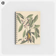 1-99_Mark-Catesby_memo
