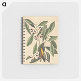 1-99_Mark-Catesby_memo