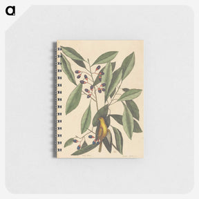 1-99_Mark-Catesby_memo