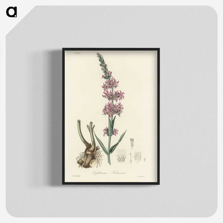 1-99_Medical-Botany_blk-crop