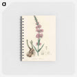 アートメモ帳-Lythrum salicaria
 - 薬用植物学 Memo.