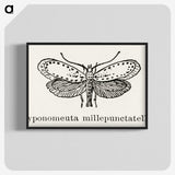 1-99_Moths-and-Butterflies-of-the-United-States_blk-crop