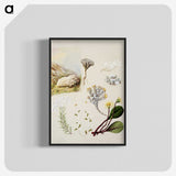 1-99_Native-Flowering-Plants-of-New-Zealand_blk-crop