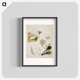 1-99_Native-Flowering-Plants-of-New-Zealand_blk