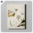 1-99_Native-Flowering-Plants-of-New-Zealand_canvas