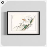 アートポスター-Albatross, from Pictorial Monograph of Birds
 - 鳥類図鑑 Poster.