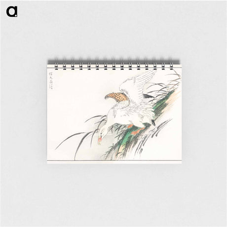 アートメモ帳-Albatross, from Pictorial Monograph of Birds
 - 鳥類図鑑 Memo.