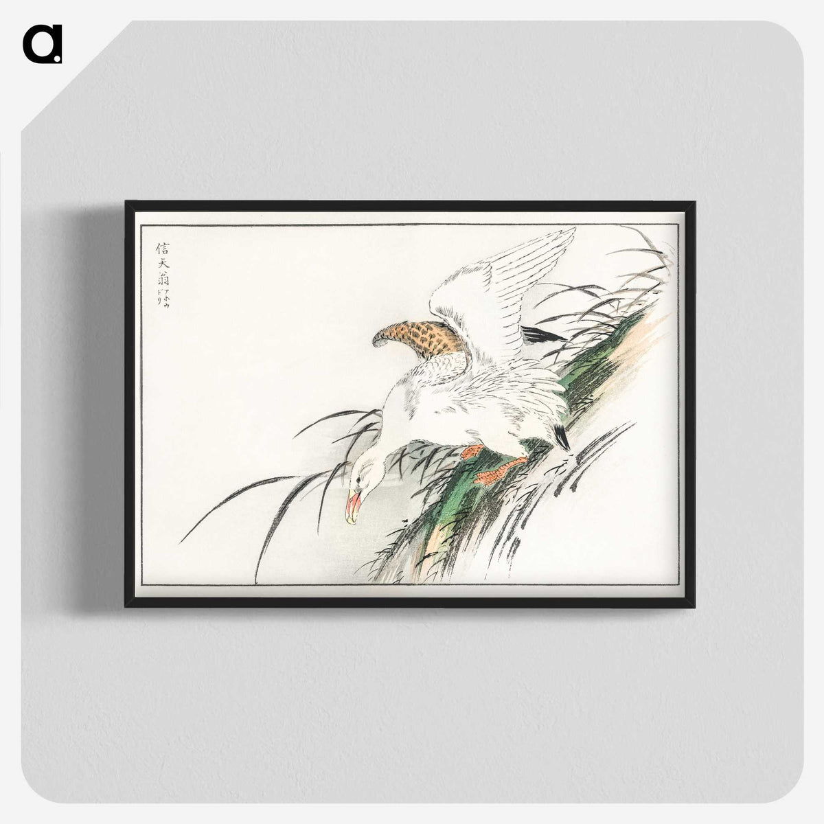 1-99_Pictorial-Monograph-of-Birds_blk-crop