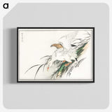 1-99_Pictorial-Monograph-of-Birds_blk-crop