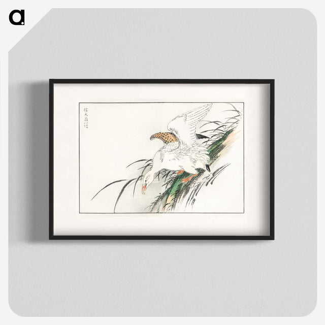 1-99_Pictorial-Monograph-of-Birds_blk