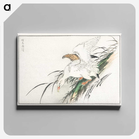 1-99_Pictorial-Monograph-of-Birds_canvas