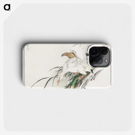 1-99_Pictorial-Monograph-of-Birds_phone