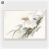 1-99_Pictorial-Monograph-of-Birds_picture-crop