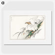 1-99_Pictorial-Monograph-of-Birds_picture