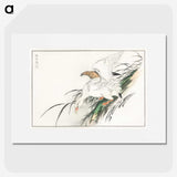 1-99_Pictorial-Monograph-of-Birds_picture