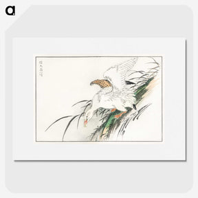 1-99_Pictorial-Monograph-of-Birds_picture