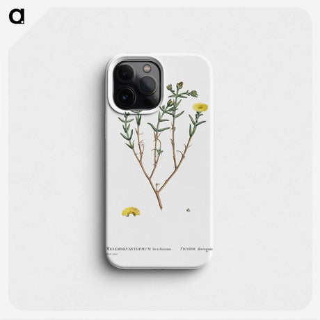 1-99_Pierre-Joseph-Redoute_phone