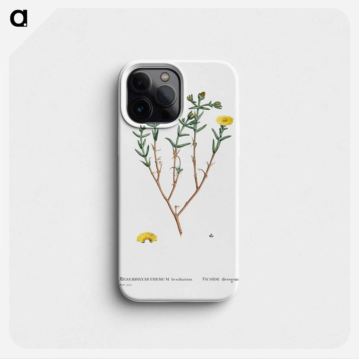 Mesembryanthemum Brachiatum (Three–Forked Fig Marigold) - Pierre-Joseph Redouté Phone Case.