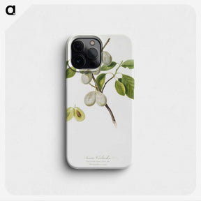 1-99_Pomona-Italiana_phone