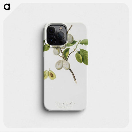 1-99_Pomona-Italiana_phone