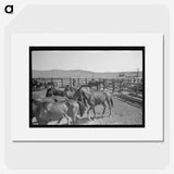 1-99_Russell-Lee_picture