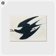アートポストカード-Sooty Tern from Birds of America
 - アメリカの鳥たち Postcard.