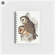 アートメモ帳-Chestnut-faced Owl
 - オーストラリアの鳥 Memo.