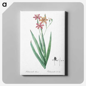 1-99_The-Lilies_canvas