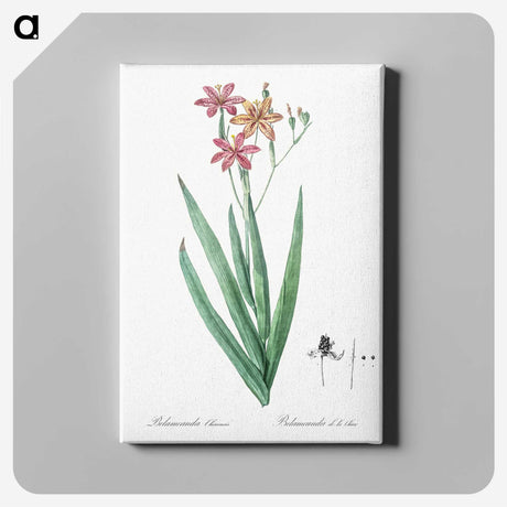 1-99_The-Lilies_canvas