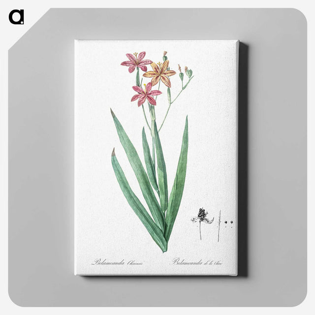 1-99_The-Lilies_canvas
