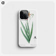 1-99_The-Lilies_phone