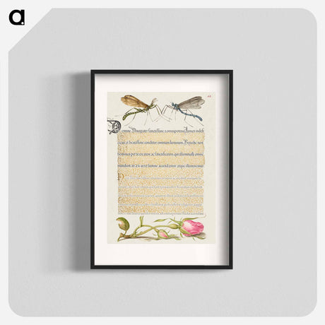 アートポスター-Crested Crane Fly, Insect, and French Rose from Mira Calligraphiae Monumenta or The Model Book of Calligraphy
 - 書道のお手本 Poster.