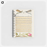 アートメモ帳-Crested Crane Fly, Insect, and French Rose from Mira Calligraphiae Monumenta or The Model Book of Calligraphy
 - 書道のお手本 Memo.