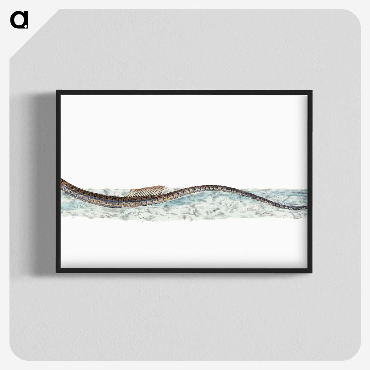 1-99_The-Natural-History-of-British-Fishes_blk-crop