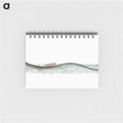 1-99_The-Natural-History-of-British-Fishes_memo