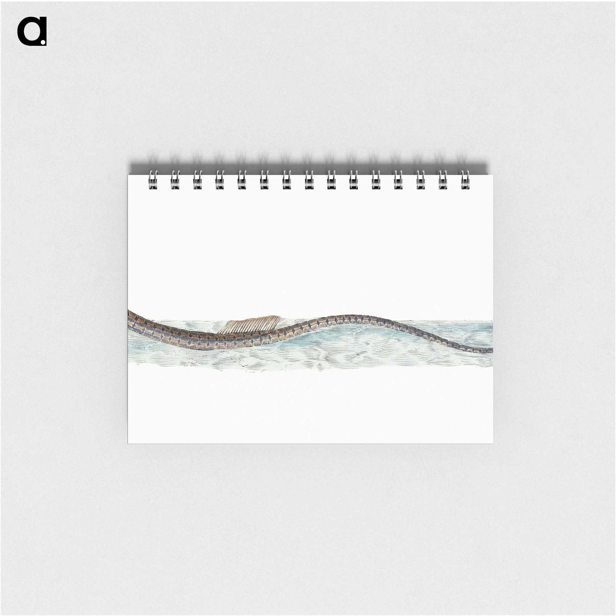1-99_The-Natural-History-of-British-Fishes_memo