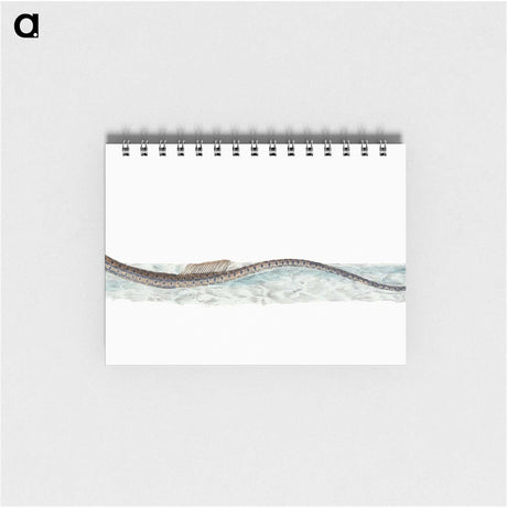 1-99_The-Natural-History-of-British-Fishes_memo