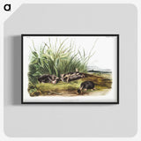 1-99_The-Viviparous-Quadrupeds_blk-crop