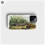 1-99_The-Viviparous-Quadrupeds_phone