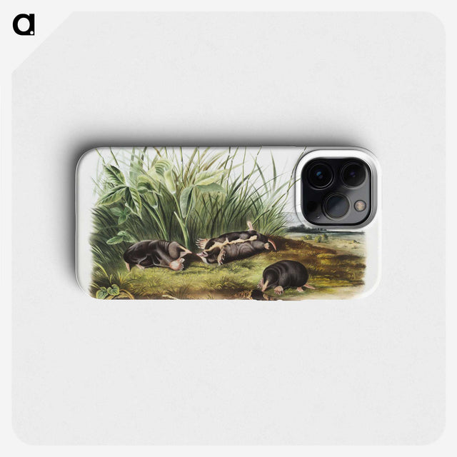 1-99_The-Viviparous-Quadrupeds_phone