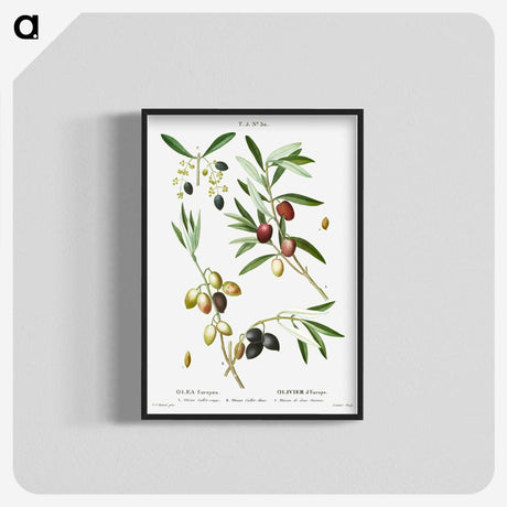 1-99_Treatise-on-Trees-and-Shrubs_blk-crop