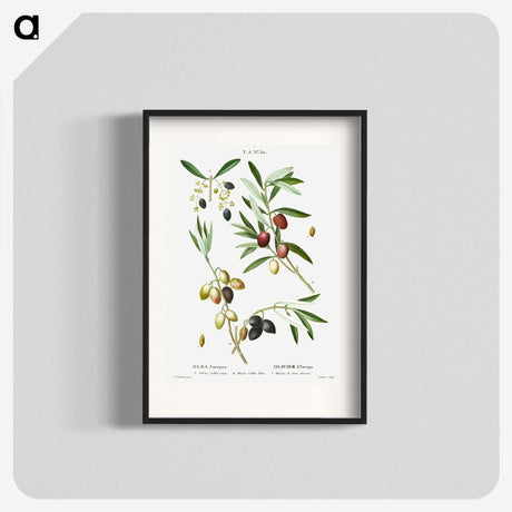1-99_Treatise-on-Trees-and-Shrubs_blk