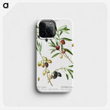 1-99_Treatise-on-Trees-and-Shrubs_phone