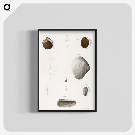 1-99_Zoology-of-New-York_blk-crop